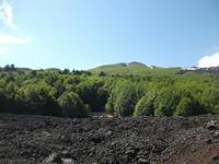 Pista Altomontana